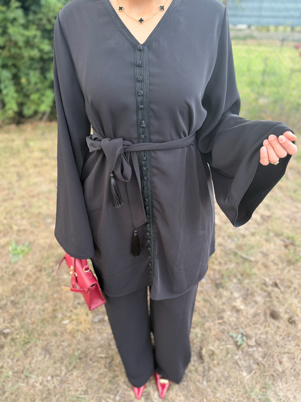 Ensemble AMIRA