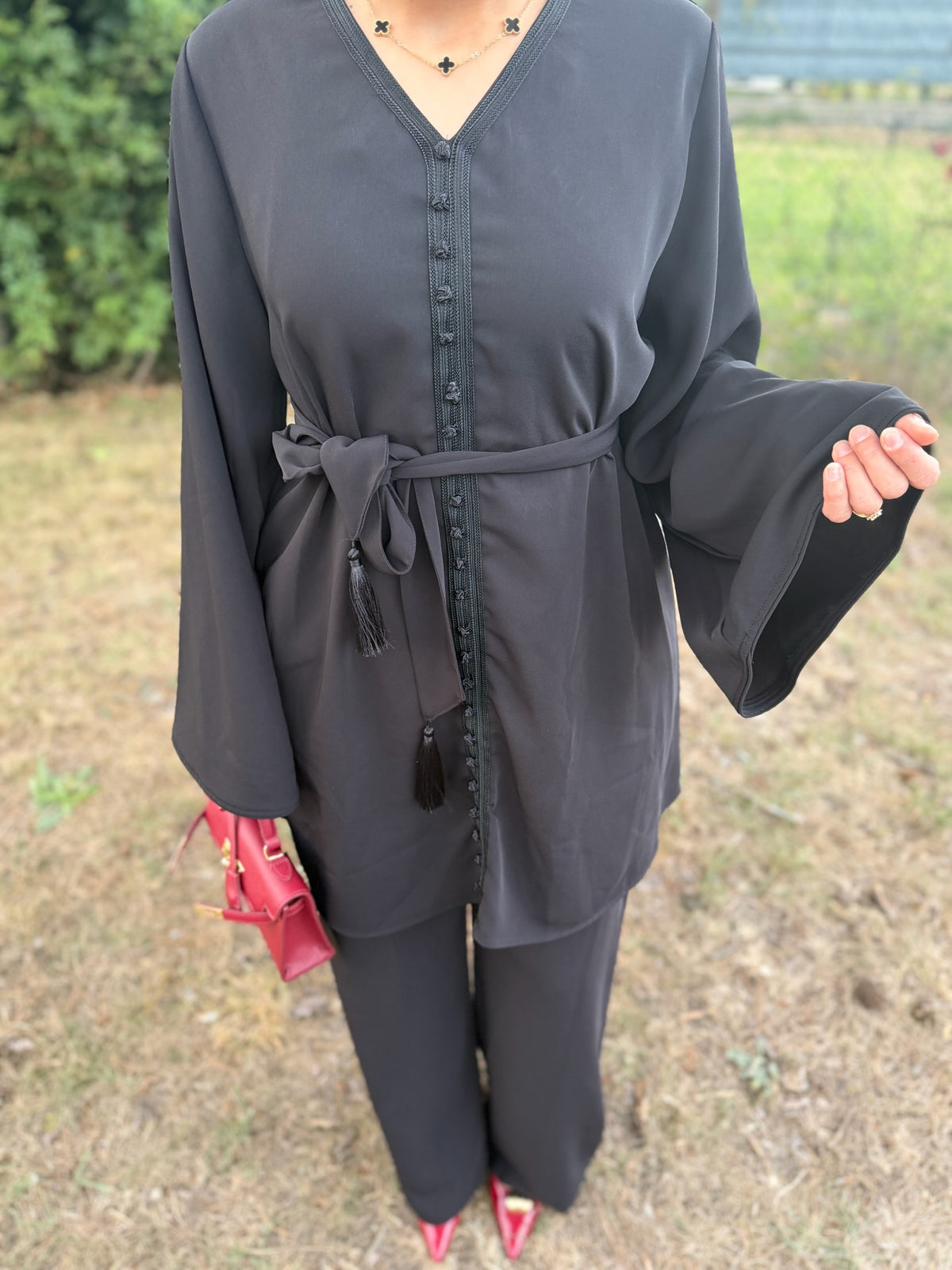 Ensemble AMIRA