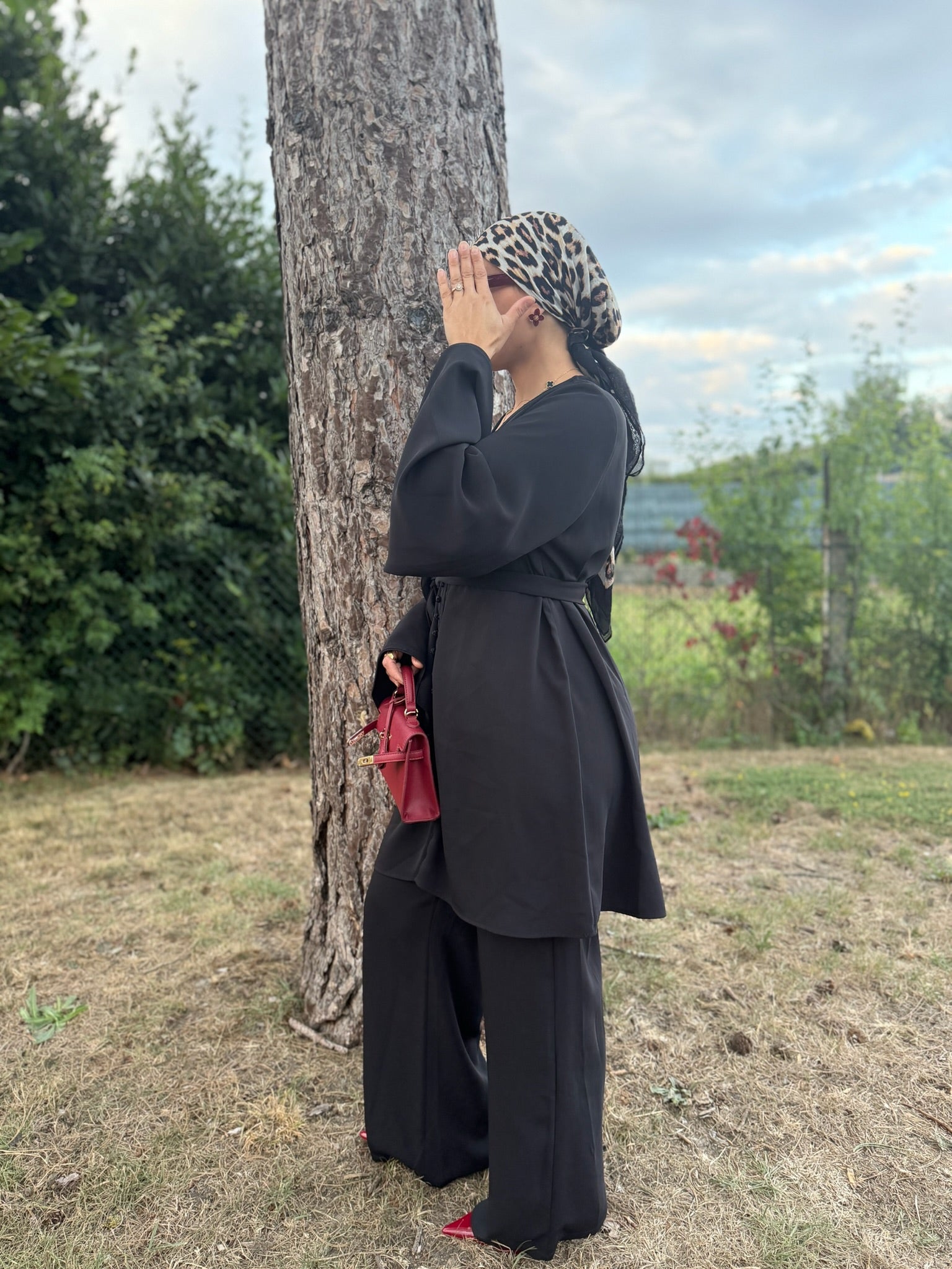 Ensemble AMIRA