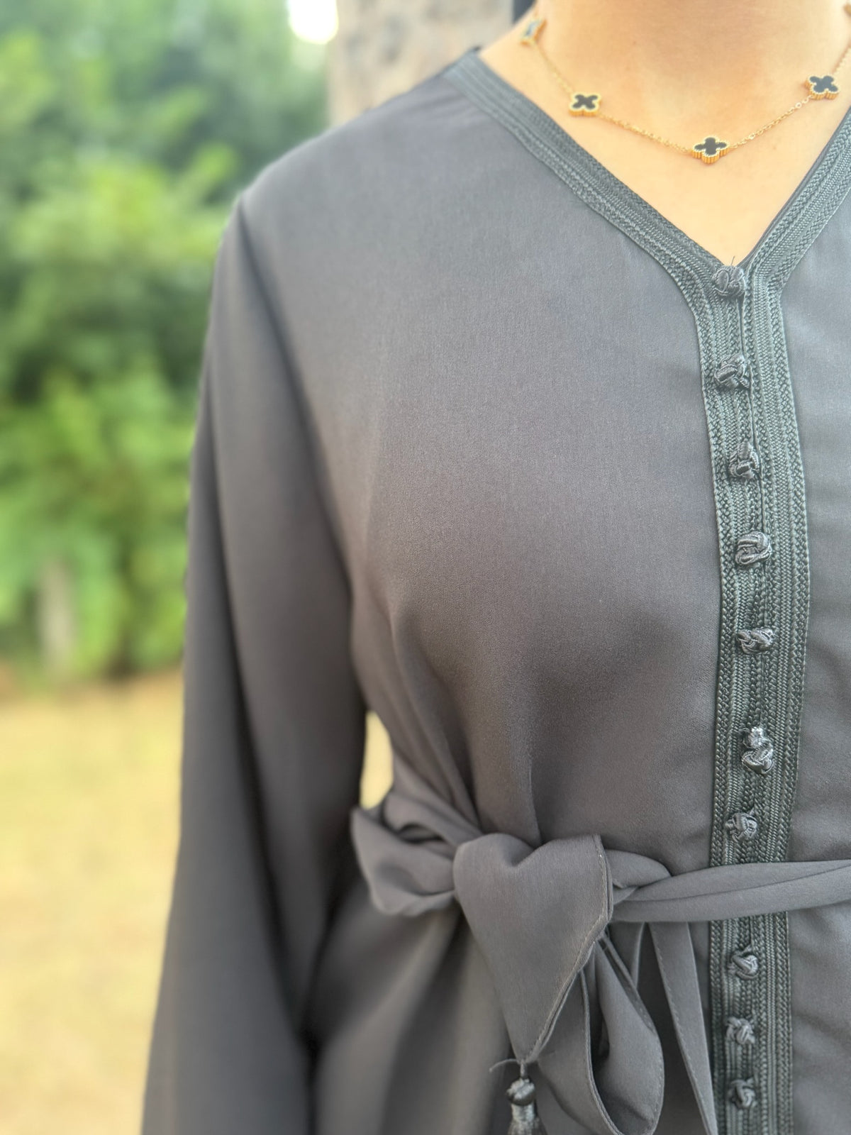 Ensemble AMIRA